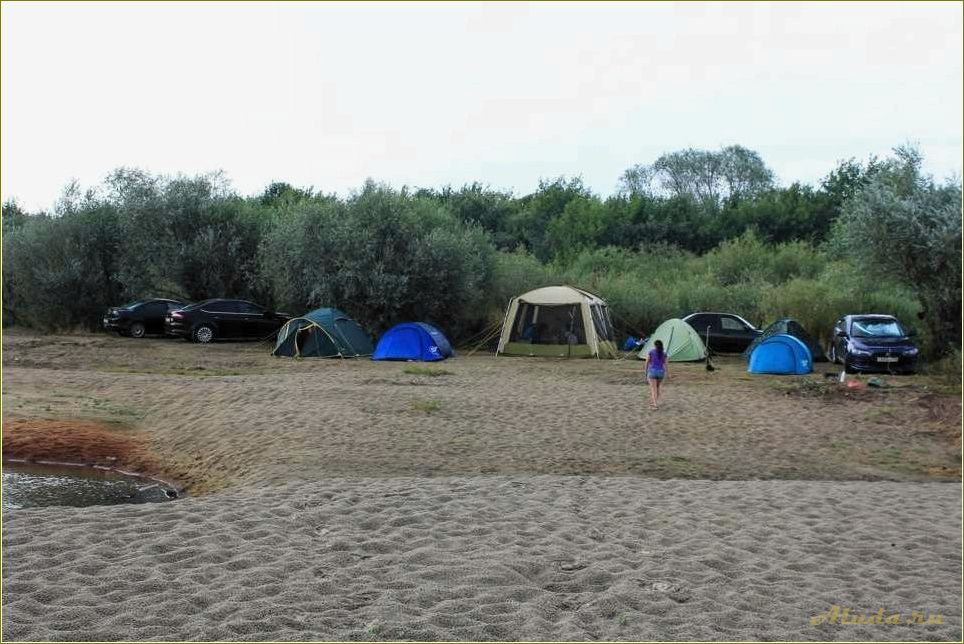 Отдых на оке с палатками в Рязанской области — где и как провести незабываемые выходные