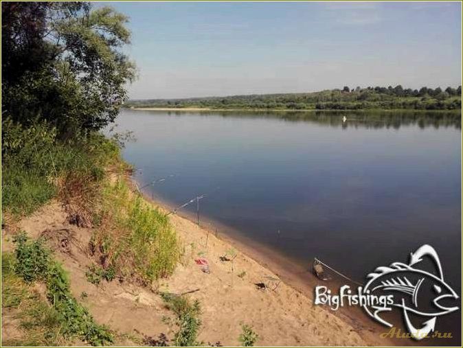 Отдых на оке с палатками в Рязанской области — где и как провести незабываемые выходные