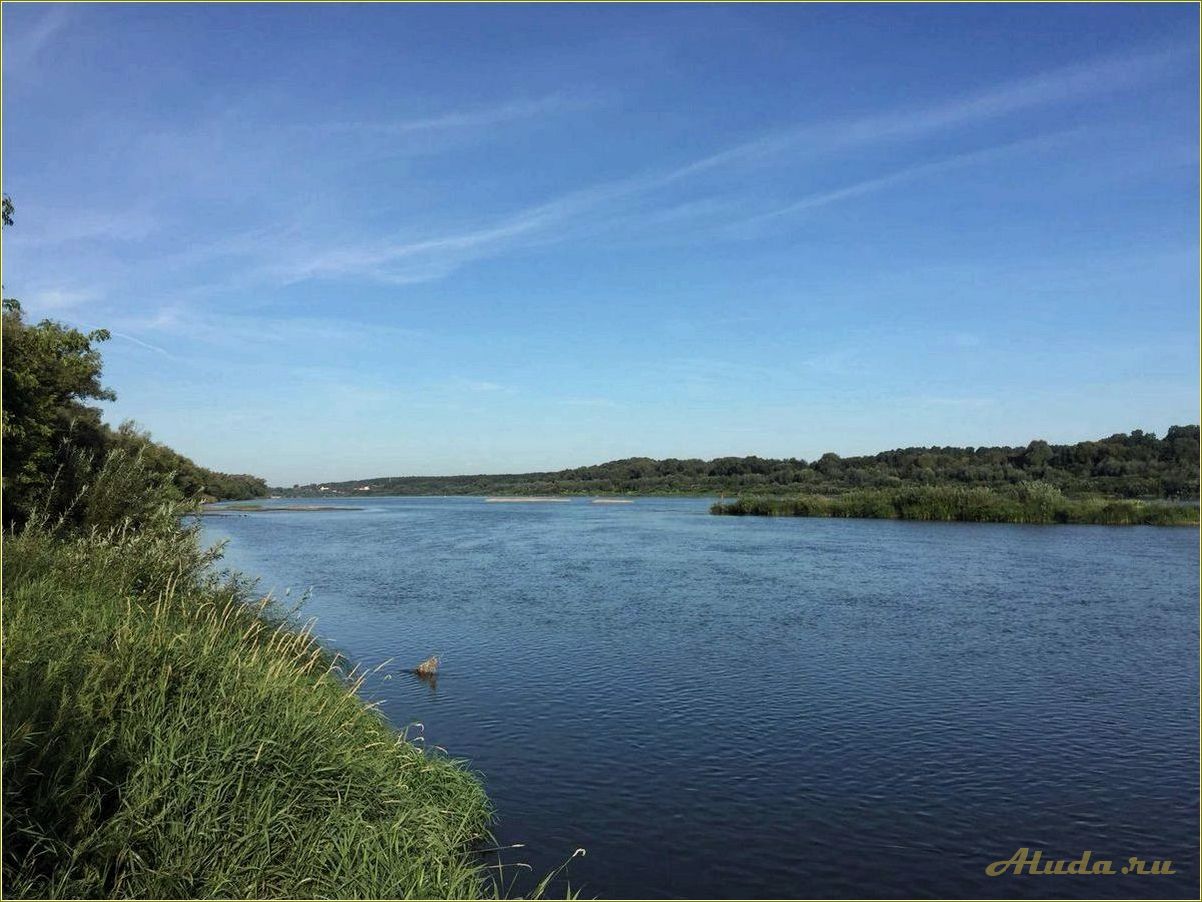 Отдых на оке с палатками в Рязанской области — где и как провести незабываемые выходные