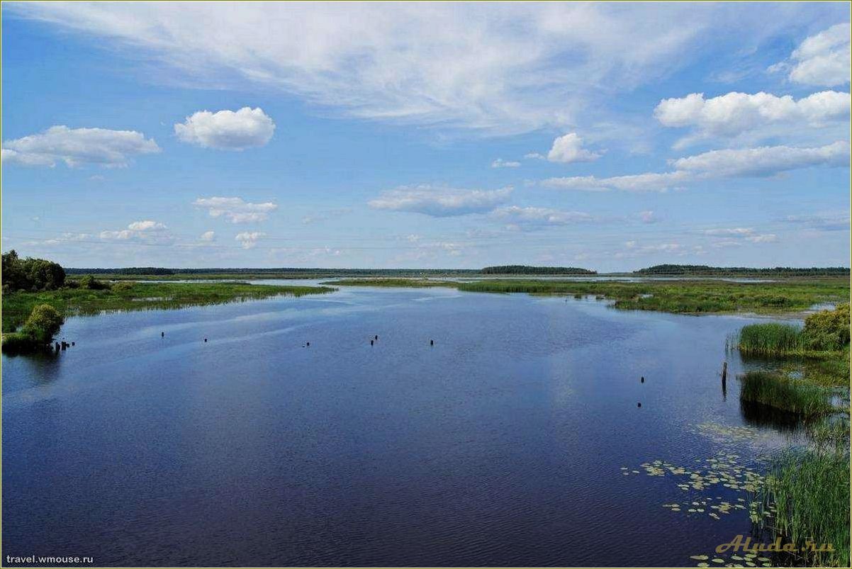 (отдых, реке, озере, рязанской, области) Отдых на реке или озере в Рязанской области — лучшие места для релаксации и активного отдыха