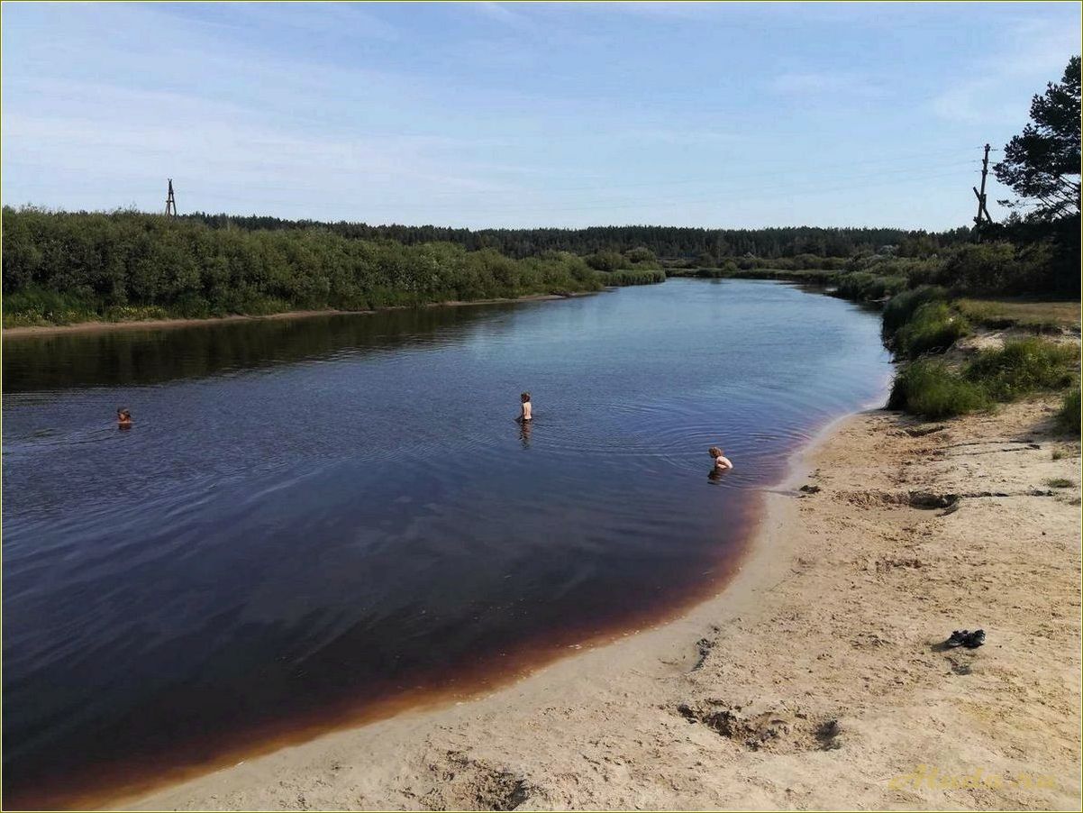 (отдых, реке, озере, рязанской, области) Отдых на реке или озере в Рязанской области — лучшие места для релаксации и активного отдыха