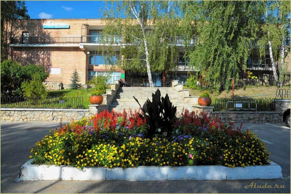 Отдых в Рязанской области — лучшая база отдыха 