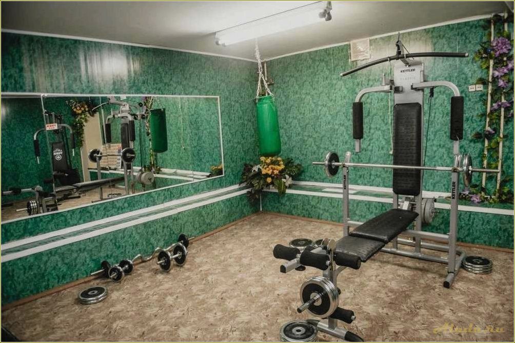 Отдых в Рязанской области — лучшая база отдыха 