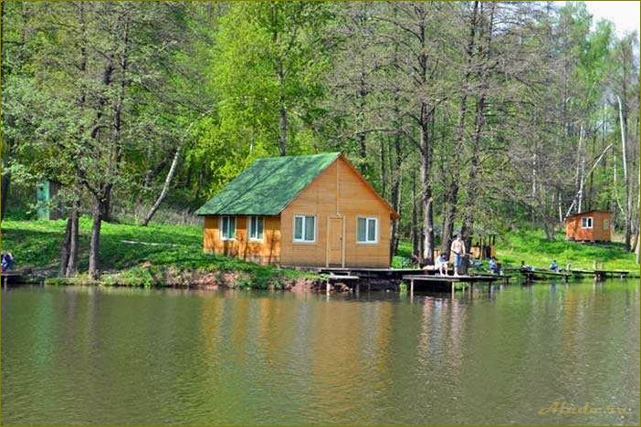 Отдых с рыбалкой и проживанием в Омской области — идеальное место для настоящих любителей природы и рыбной ловли