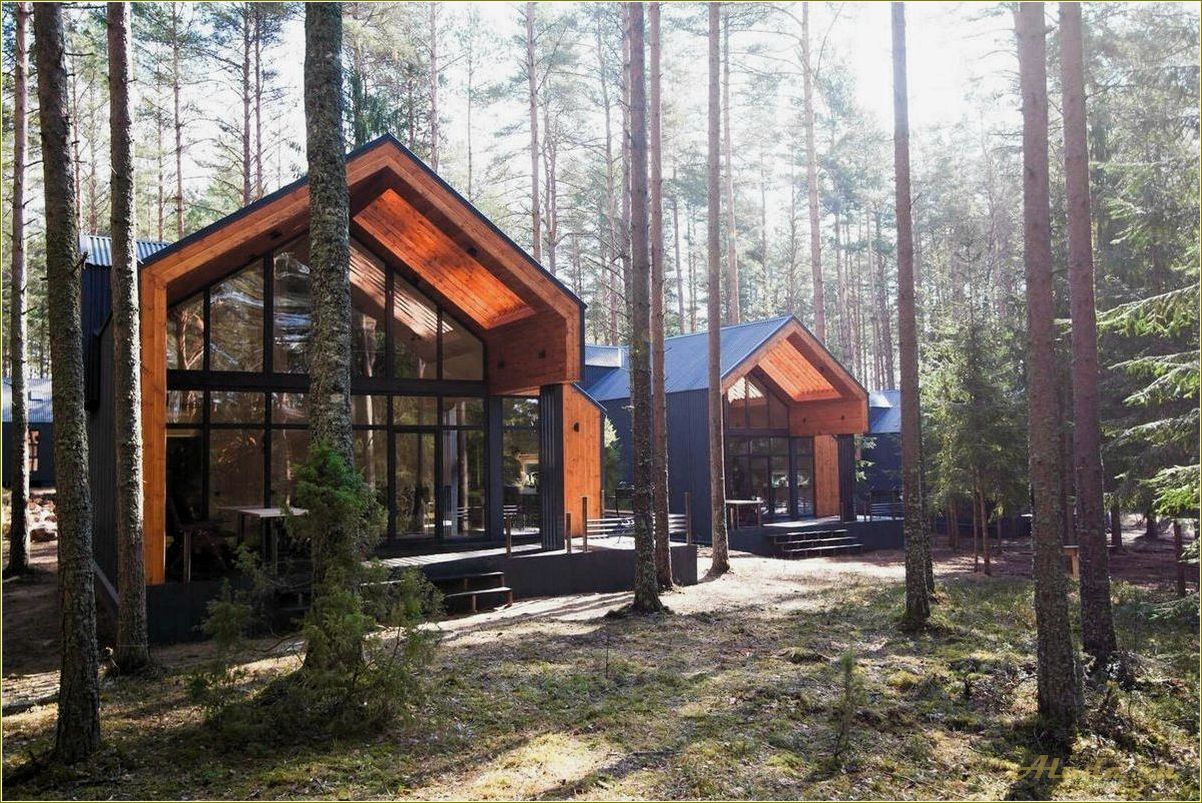 (отдых, селижаровском, районе, тверской, области) Отдых в Селижаровском районе Тверской области