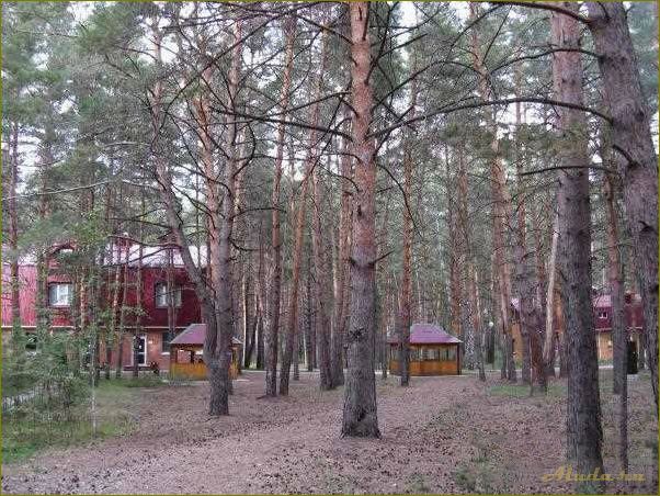 Отдых в Омской области — базы отдыха, красоты природы и волшебство сказки