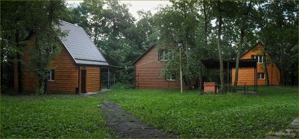 Отдых в Омской области — базы отдыха, красоты природы и волшебство сказки