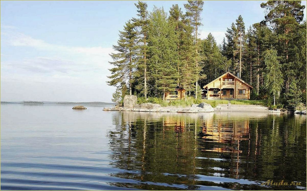 Отдых в Псковской области на озере в коттедже с собакой — идеальное место для спокойного отдыха на природе