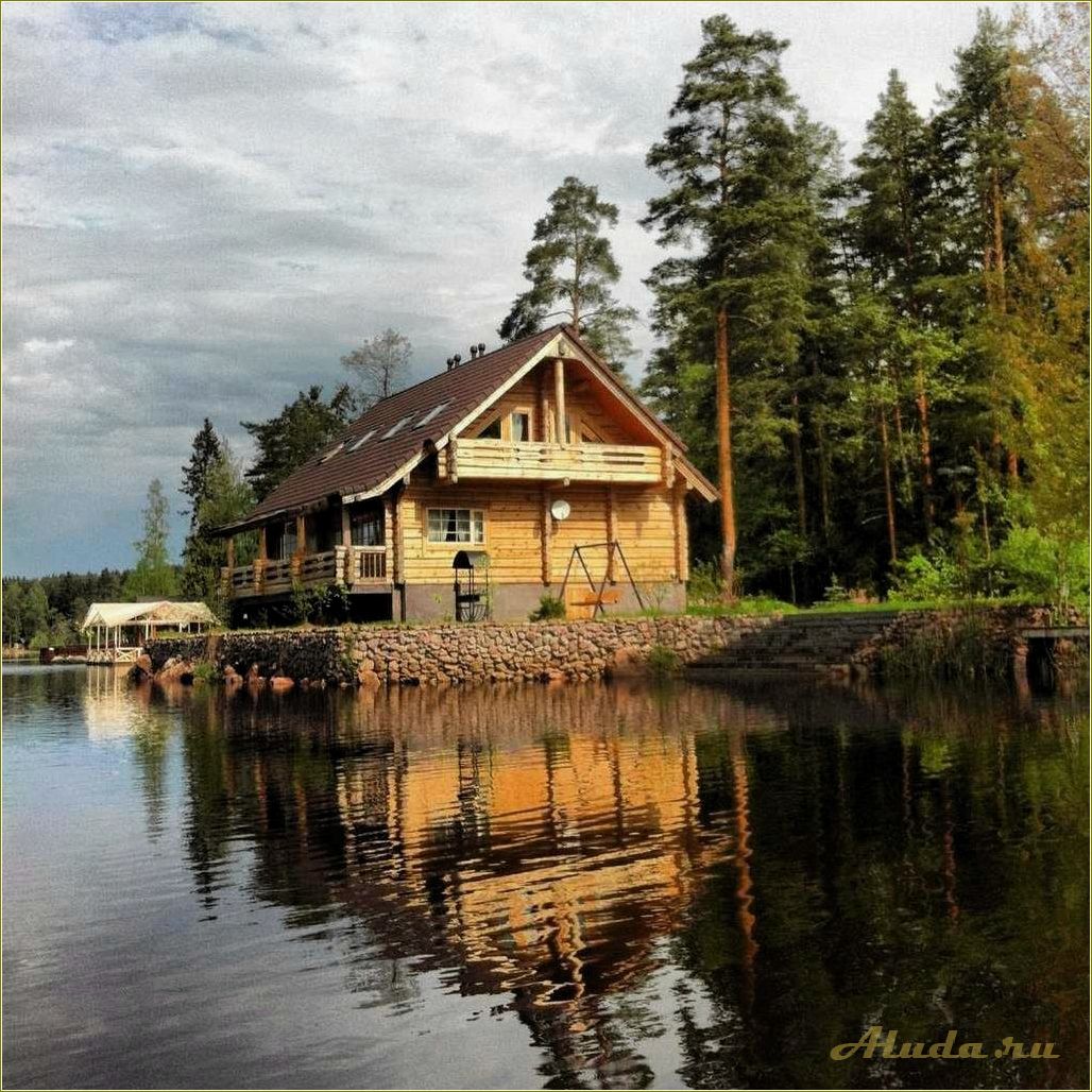 Отдых в Псковской области на озере в коттедже с собакой — идеальное место для спокойного отдыха на природе