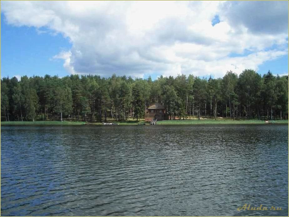 (отдых, смоленской, области, база, отдыха) Отдых в Смоленской области: база отдыха