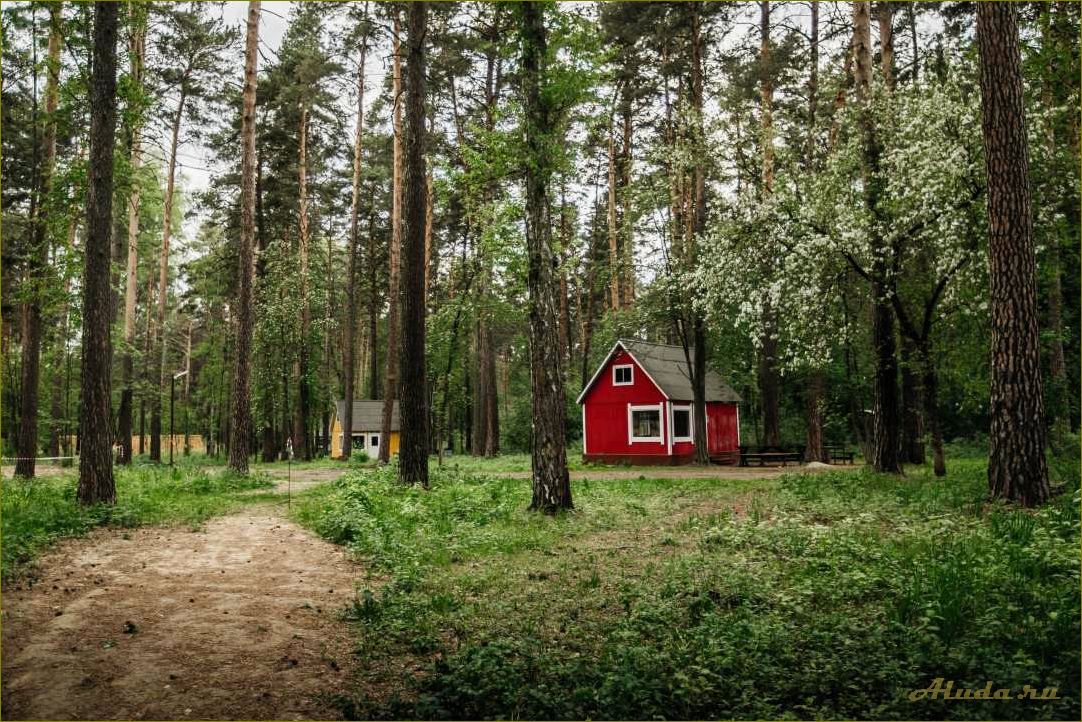 Лучшие базы отдыха в новосибирской области — отзывы, цены, условия проживания и развлечения