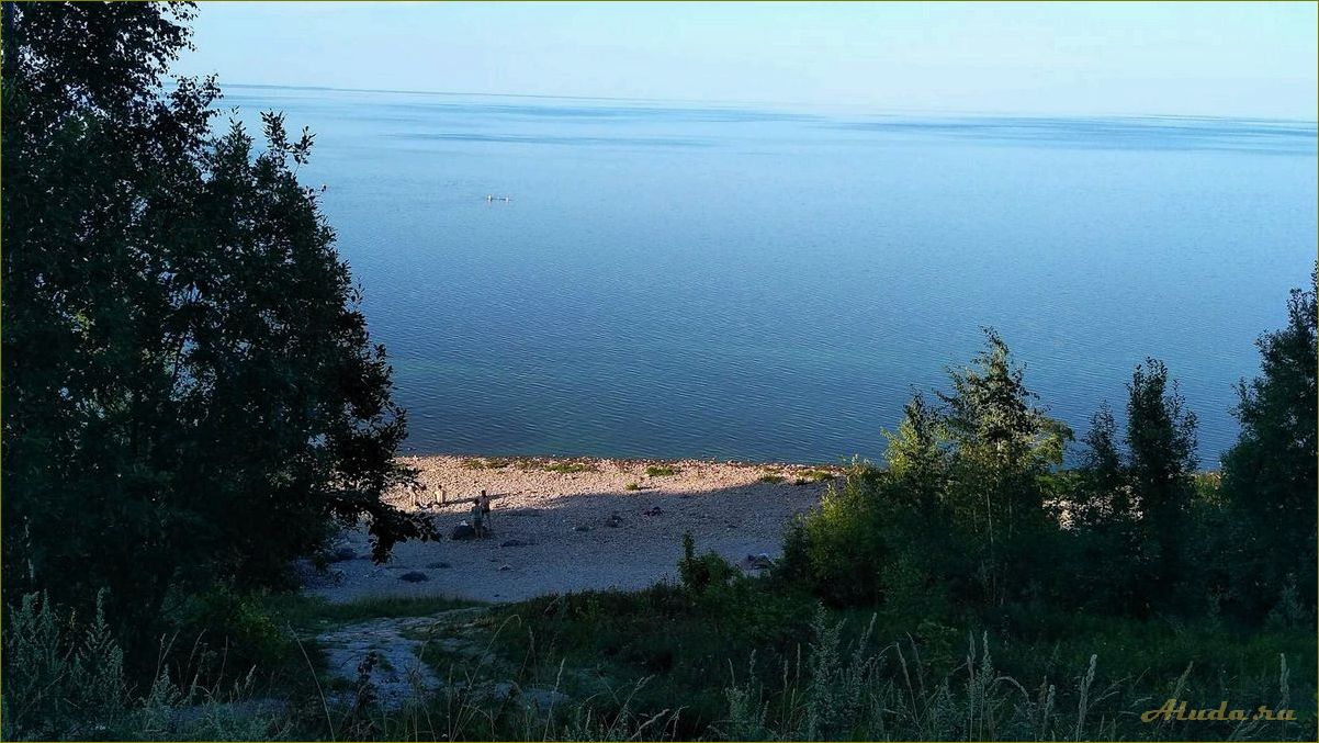 Озеро Ильмень — красота и история Новгородской области