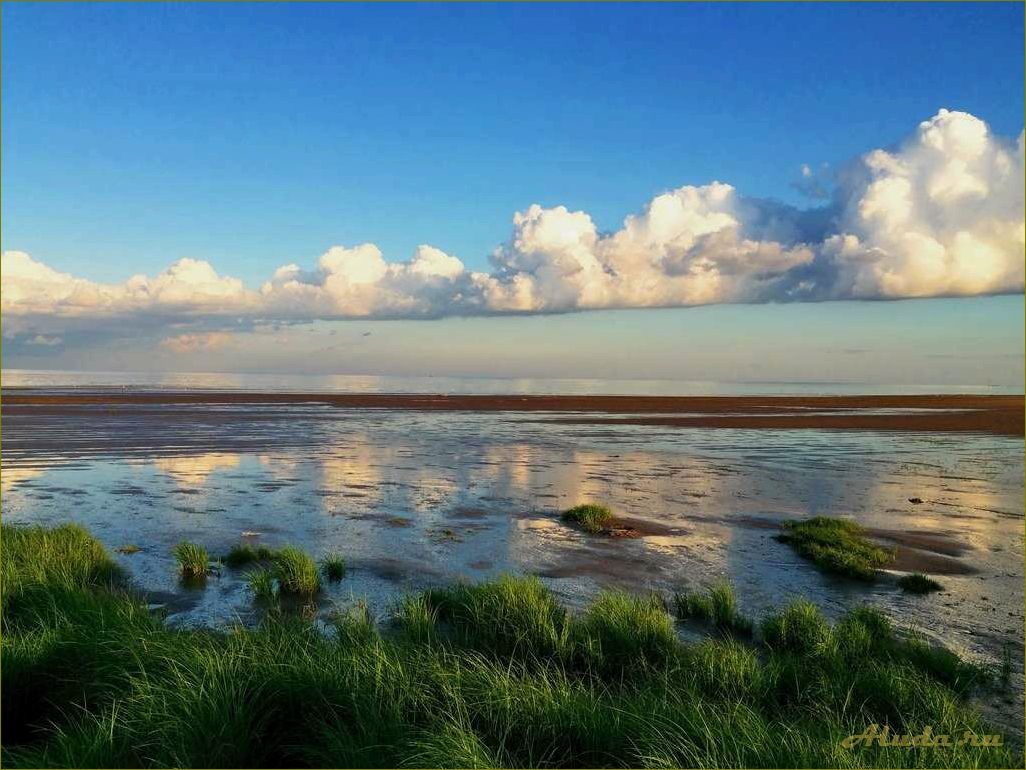 Озеро Ильмень — красота и история Новгородской области