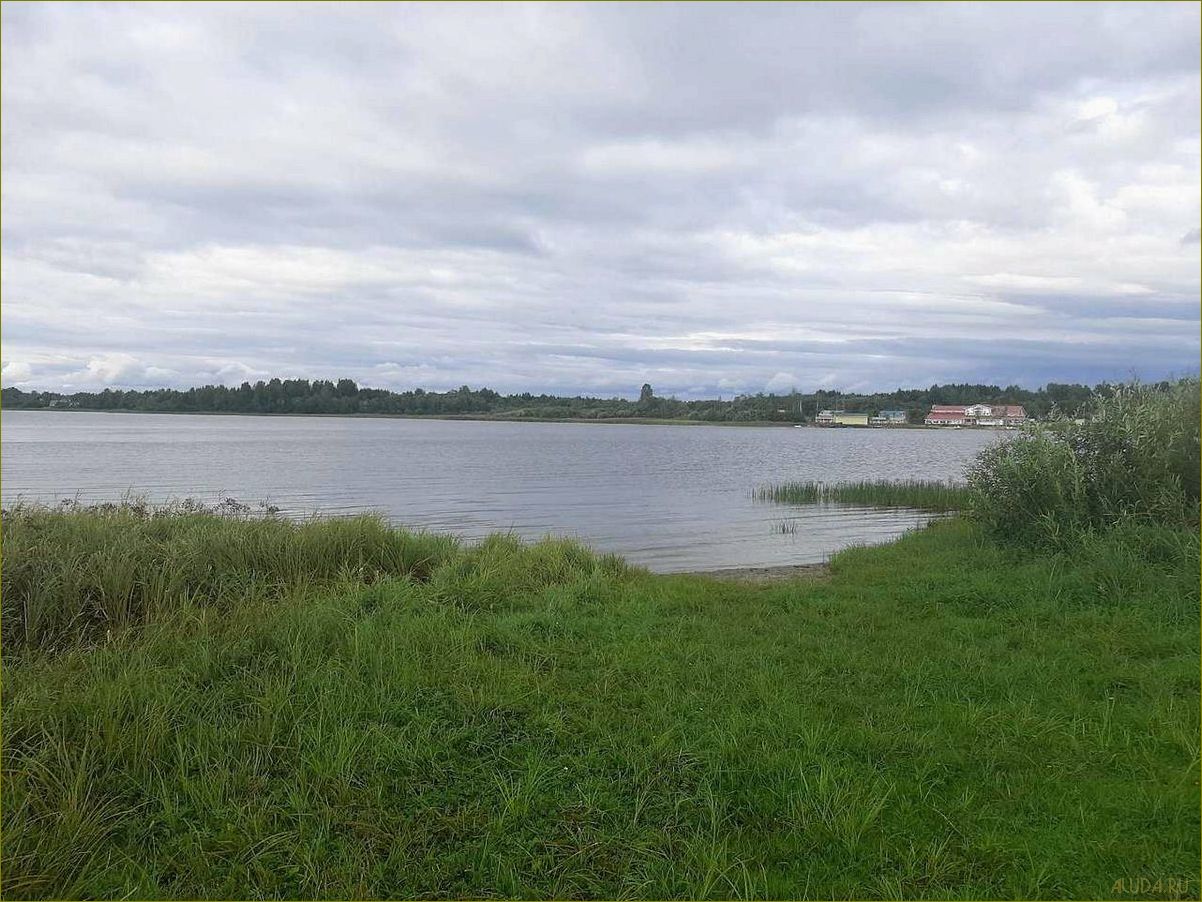 Озеро Никольское в Вологодской области — идеальное место для отдыха и релаксации в окружении природы