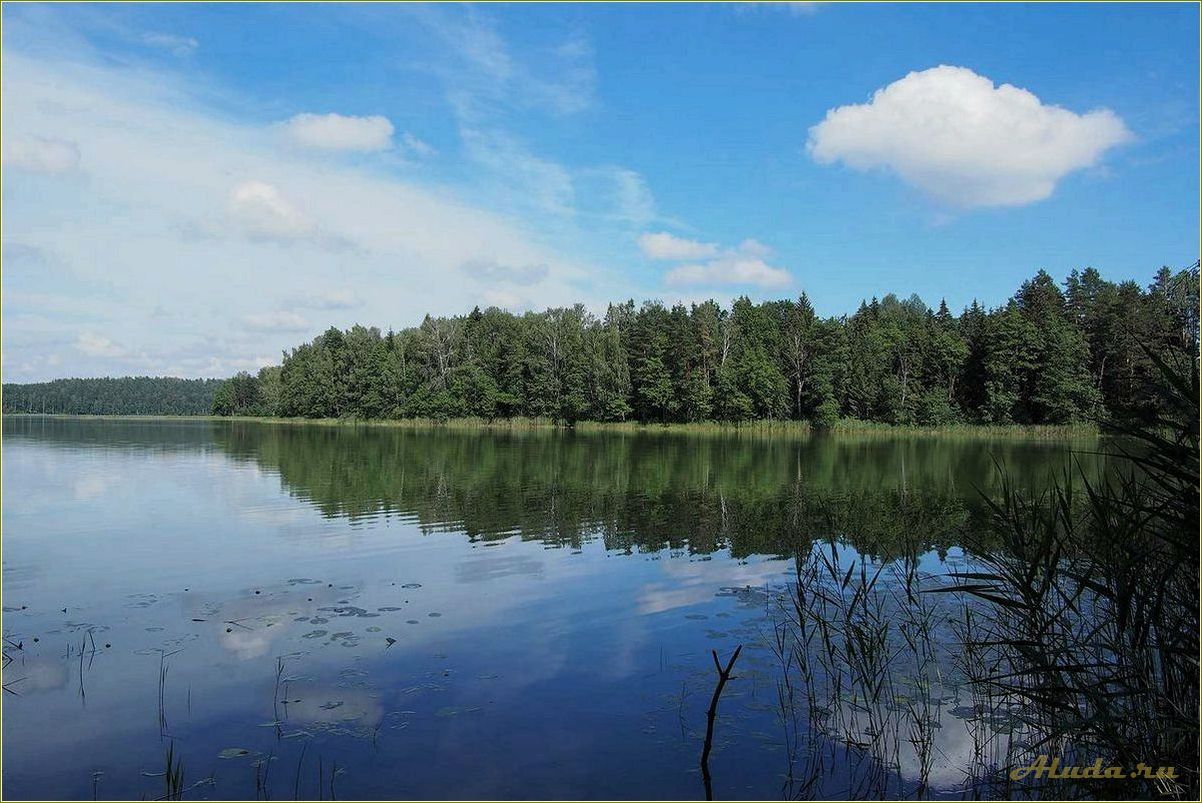 Отдых на озере Сапшо в Смоленской области: информация о ценах на аренду домиков и прочие развлечения