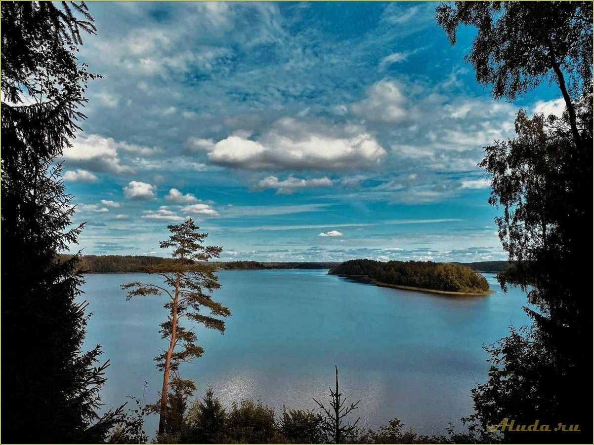 Отдых на озере Сапшо в Смоленской области: информация о ценах на аренду домиков и прочие развлечения