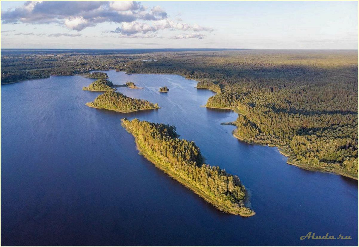 Отдых на озере Сапшо в Смоленской области: информация о ценах на аренду домиков и прочие развлечения