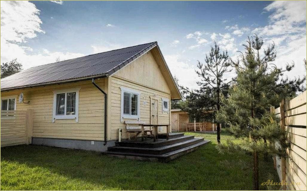 Отдых на озере Сапшо в Смоленской области: информация о ценах на аренду домиков и прочие развлечения