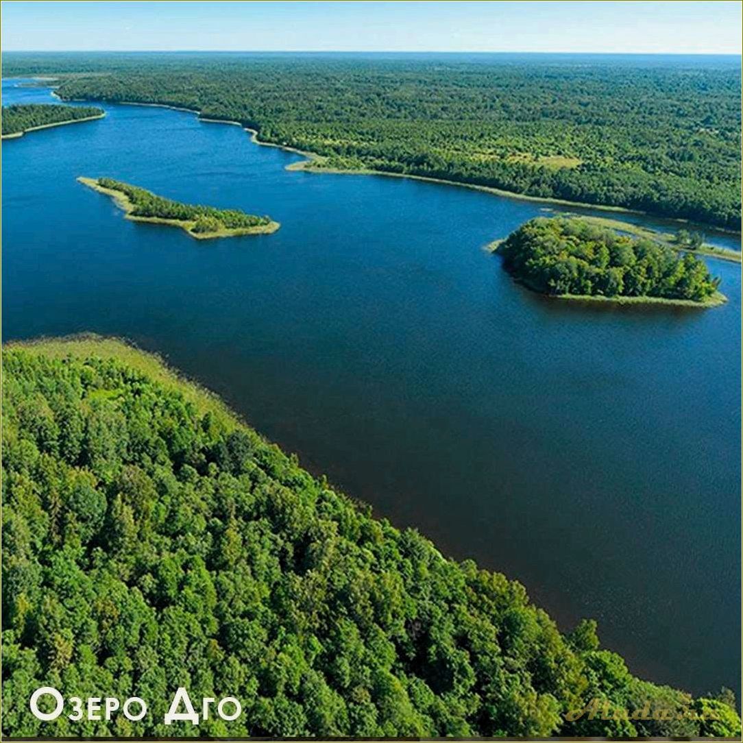 Отдых на озере Сапшо в Смоленской области: информация о ценах на аренду домиков и прочие развлечения