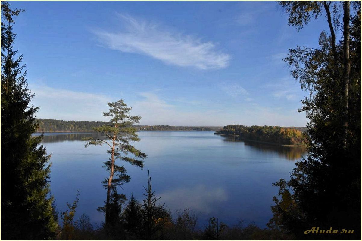 Отдых на озере Сапшо в Смоленской области: информация о ценах на аренду домиков и прочие развлечения