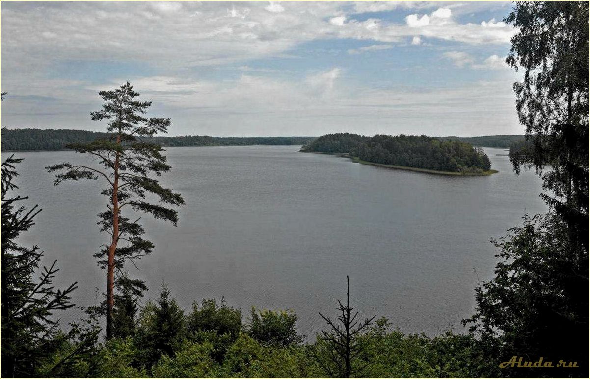 Отдых на озере Сапшо в Смоленской области: информация о ценах на аренду домиков и прочие развлечения