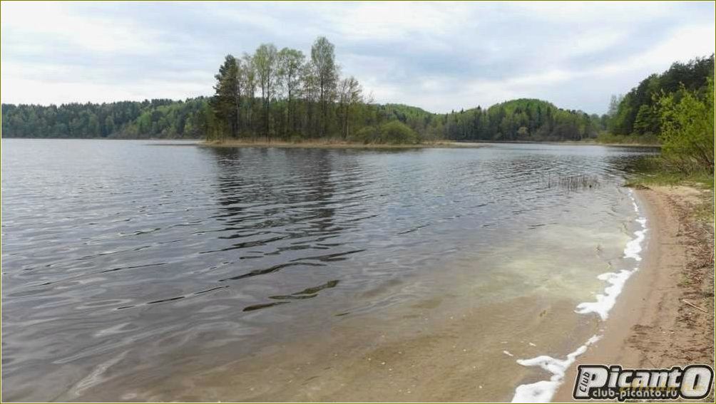 Озеро Сапшо: отдых с палатками в Смоленской области