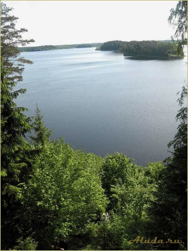 Озеро Сапшо: отдых с палатками в Смоленской области