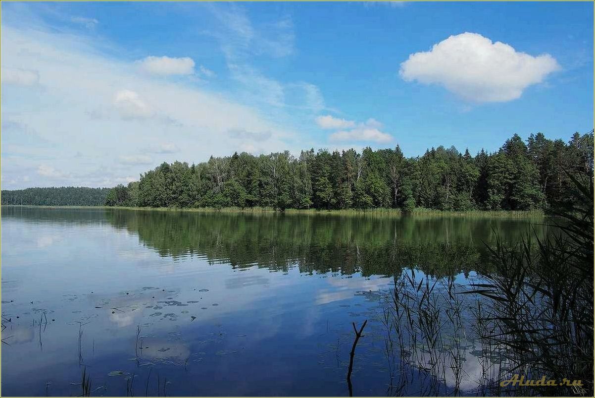 Озеро Сапшо: отдых с палатками в Смоленской области
