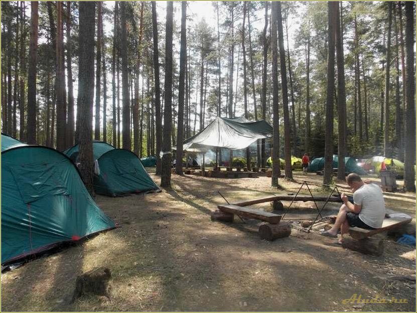 Озеро Сапшо: отдых с палатками в Смоленской области
