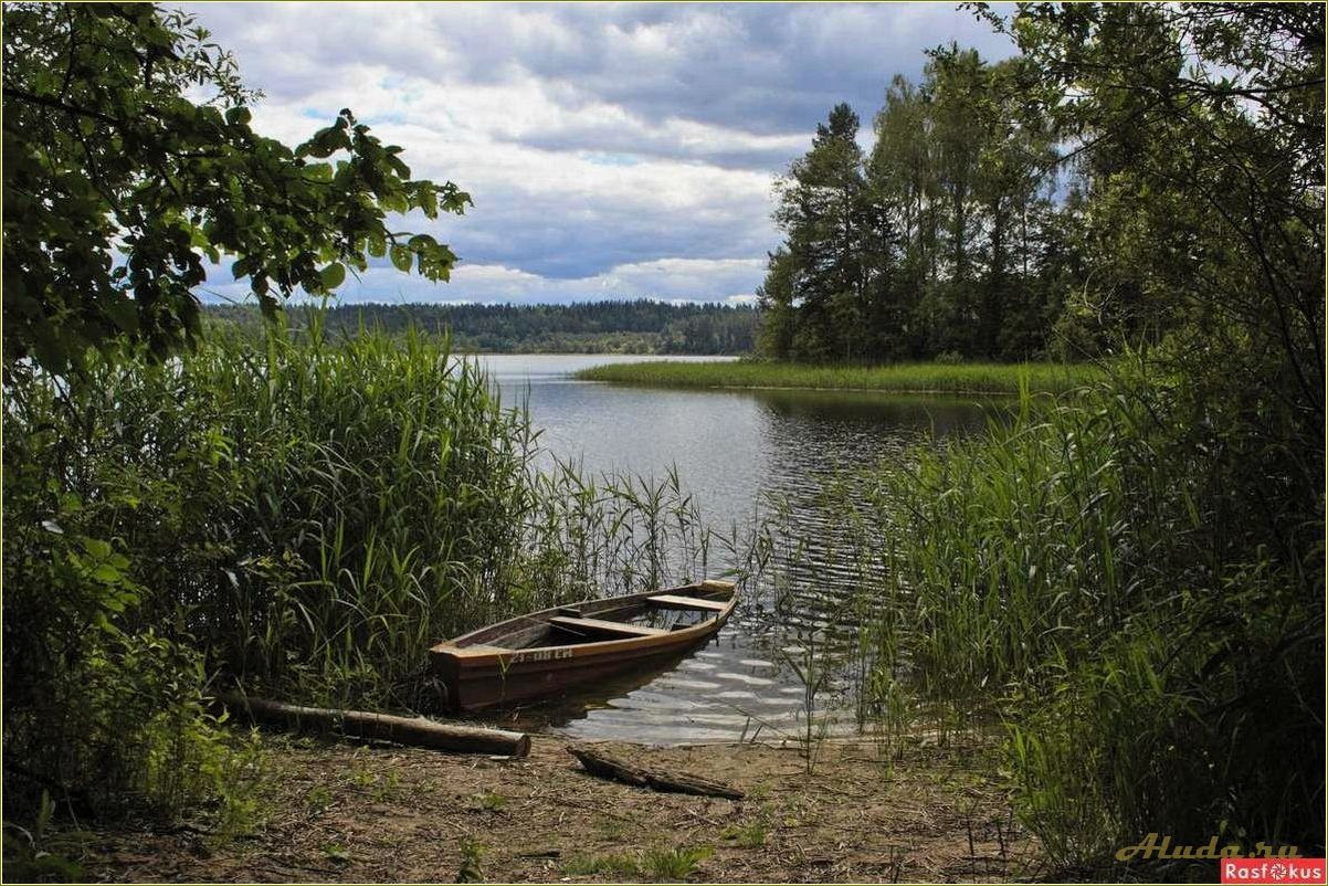 Отдых на озере Сапшо в Смоленской области: информация о ценах на аренду домиков и прочие развлечения