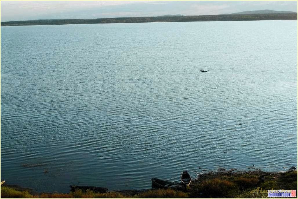 (отдых, озере, щелкунское, свердловской, области) Отдых на озере Щелкунское в Свердловской области: лучшие места для отдыха и развлечений