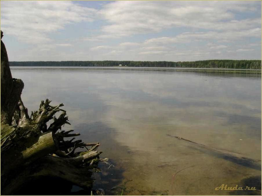 Озеро Щучье Свердловская область база отдыха