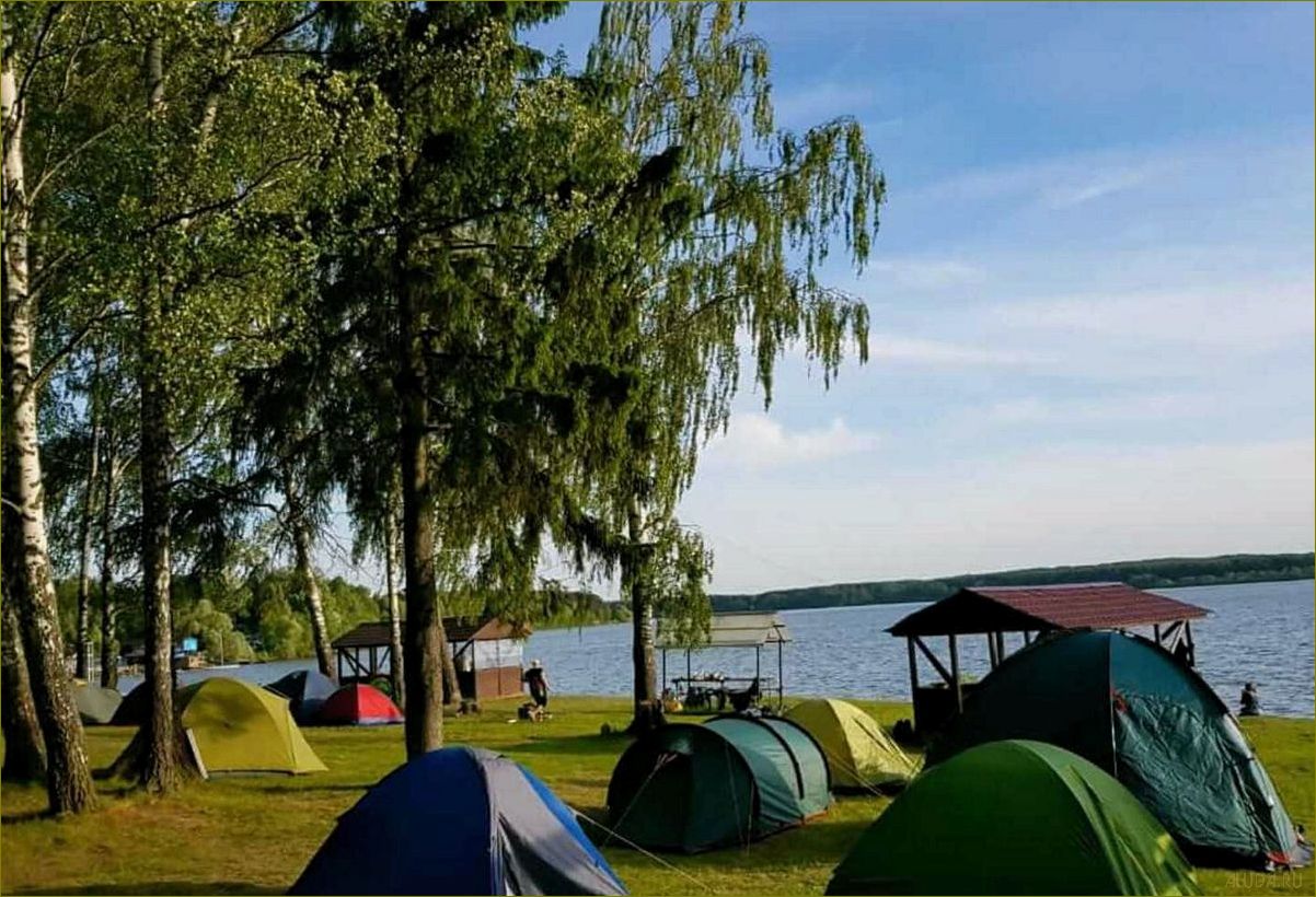 Палаточный отдых в живописной природе Московской области — идеальное место для отдыха на природе
