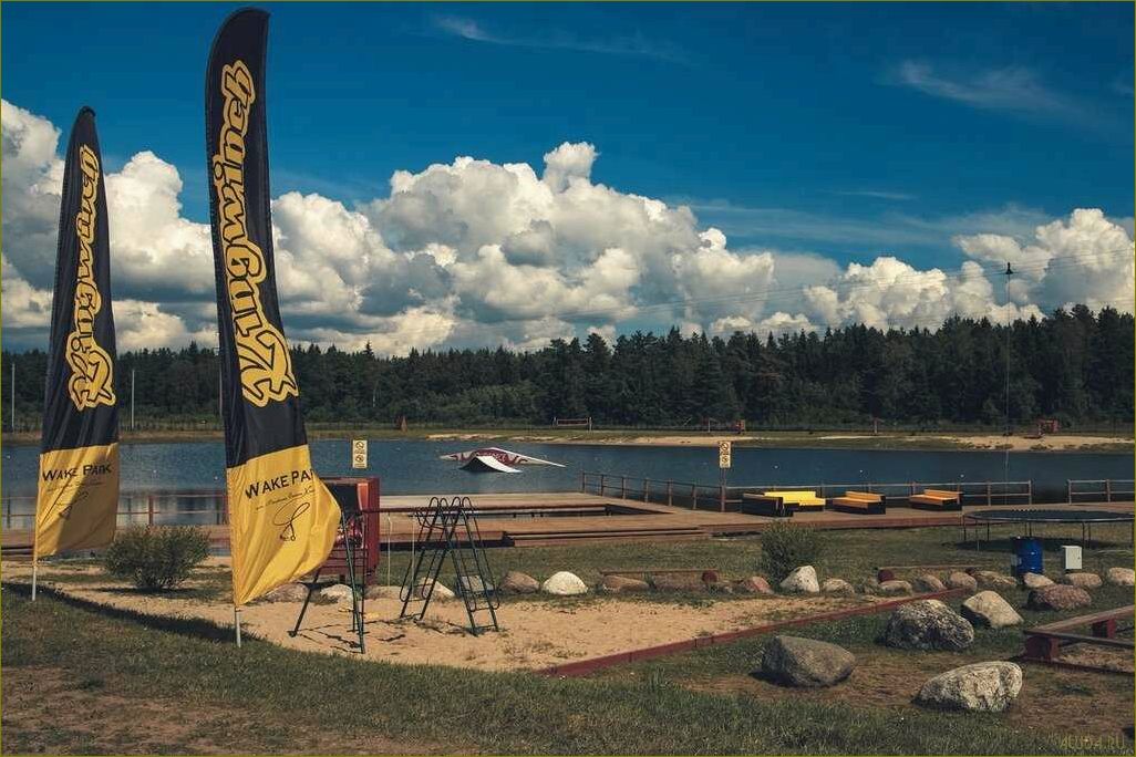 Петрушино — идеальное место для отдыха в Ленинградской области — наслаждайтесь природой, активным отдыхом и комфортом!