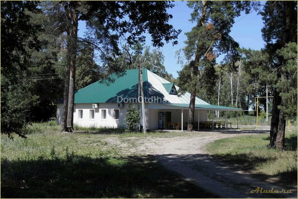 (пруды, отдыха, тамбовской, области) Пруды для отдыха в Тамбовской области