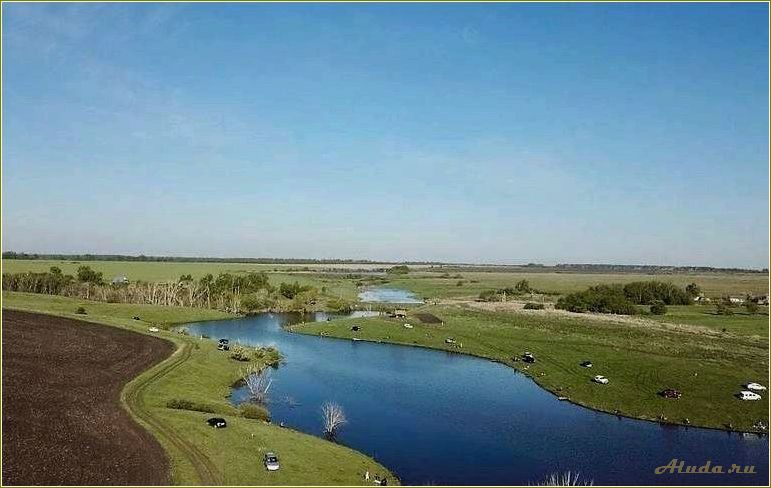 (пруды, отдыха, тамбовской, области) Пруды для отдыха в Тамбовской области