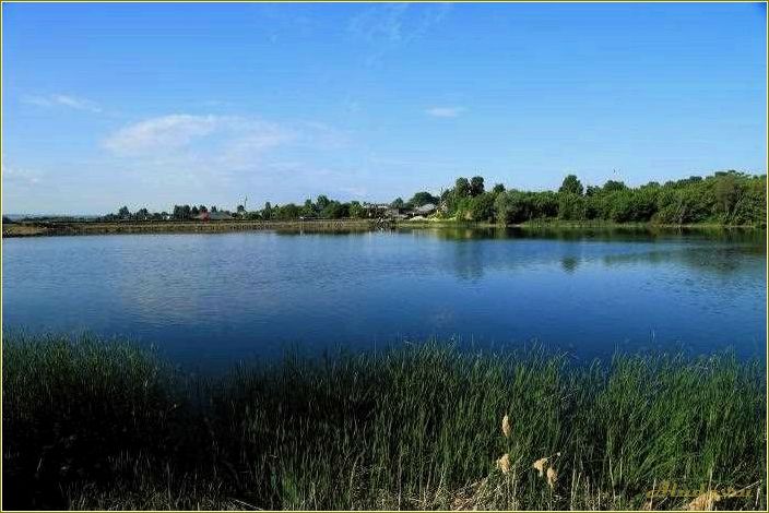 (пруды, отдыха, тамбовской, области) Пруды для отдыха в Тамбовской области