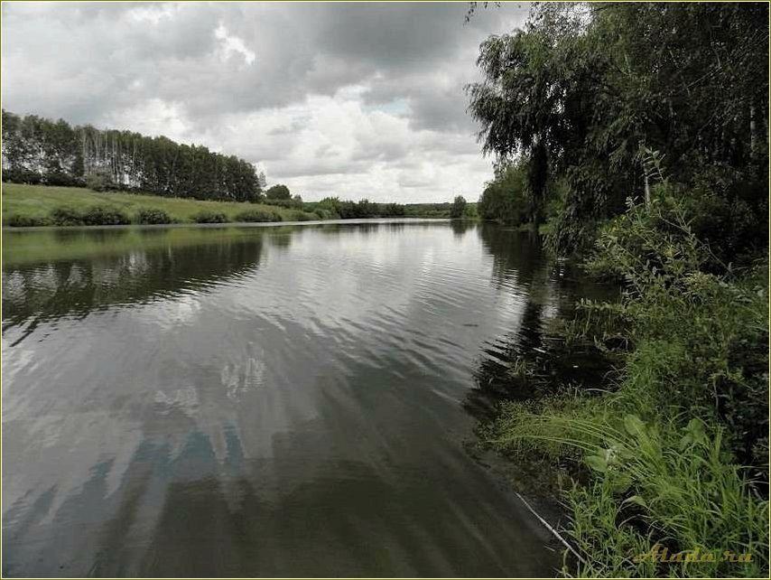 (пруды, отдыха, тамбовской, области) Пруды для отдыха в Тамбовской области