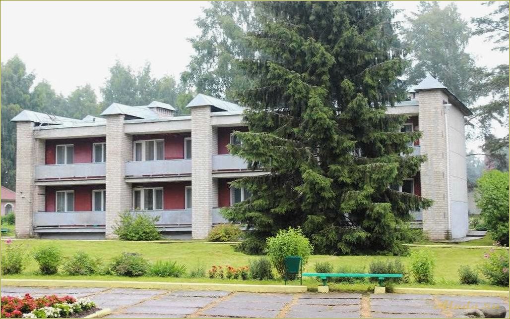 Пушкинские горы — идеальная база отдыха в Псковской области