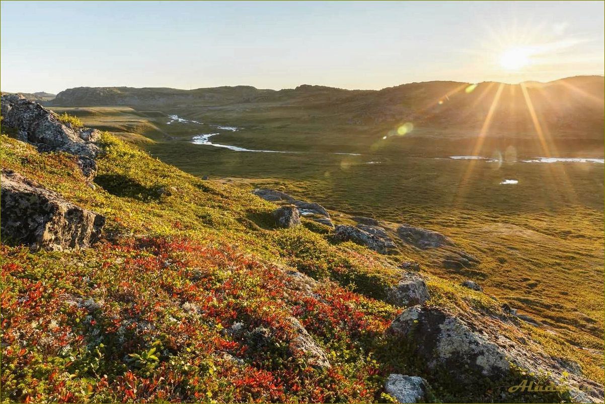 Путешествие по Мурманской области летом — открытие потрясающих красот и удивительных приключений