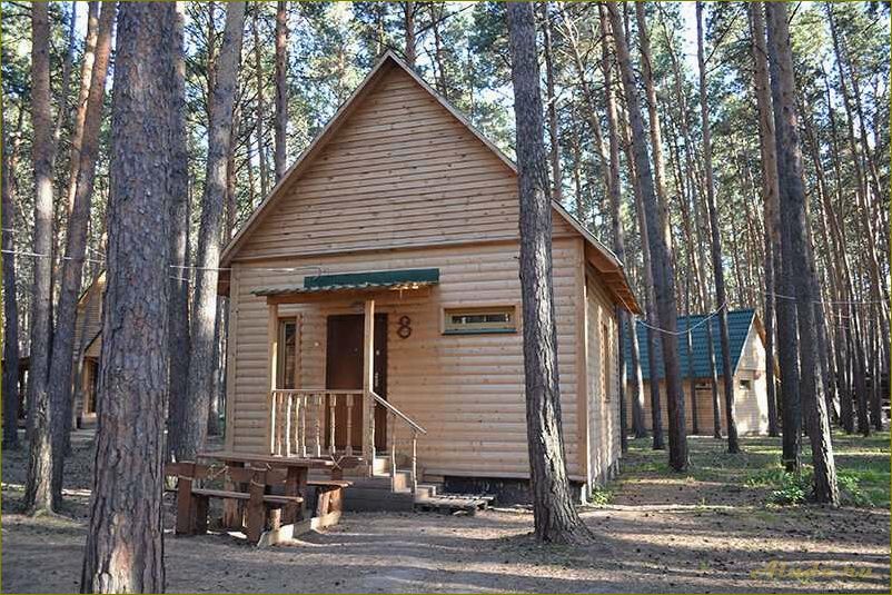 Путевки на базы отдыха Омской области — отличная возможность насладиться природой и активным отдыхом