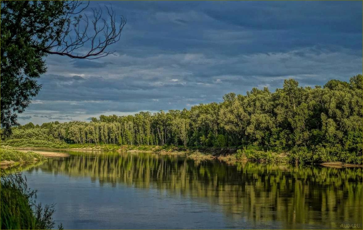 Река Чумыш в Кемеровской области — идеальное место для отдыха и релаксации