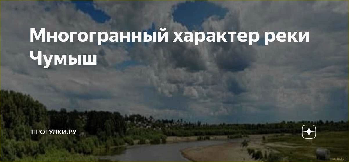 Река Чумыш в Кемеровской области — идеальное место для отдыха и релаксации