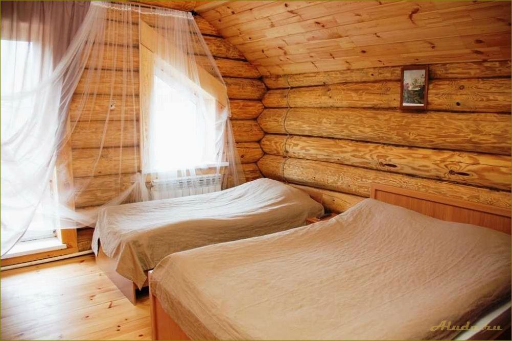 Родники — идеальная база отдыха в Нижегородской области — природа, комфорт и развлечения