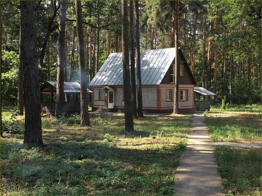 (россия, липецкая, область, грязинский, район) Россия, Липецкая область, Грязинский район — база отдыха завода Indesit — идеальное место для отпуска и релаксации