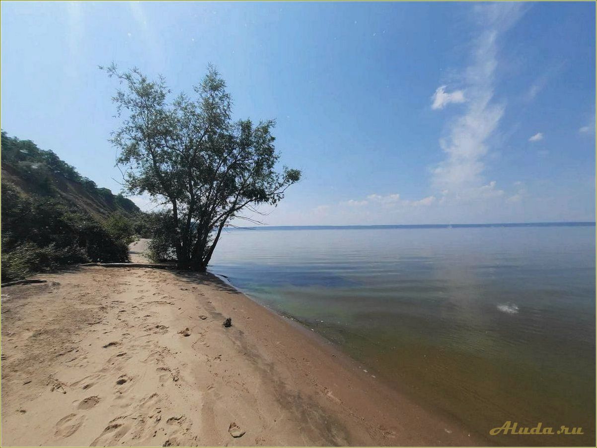 Россия Самарская область Ставропольский район Ягодинское лесничество: 3 база отдыха 