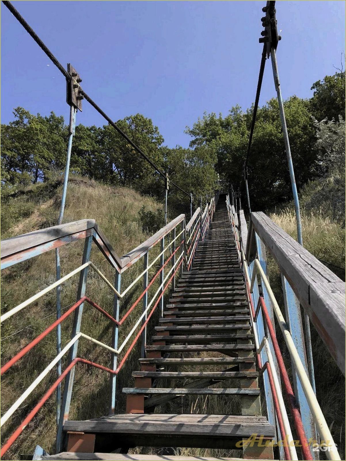 Россия Самарская область Ставропольский район Ягодинское лесничество: 3 база отдыха 