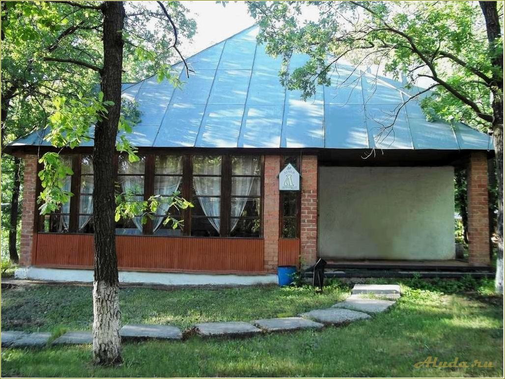 Россия Самарская область Ставропольский район Ягодинское лесничество: 3 база отдыха 