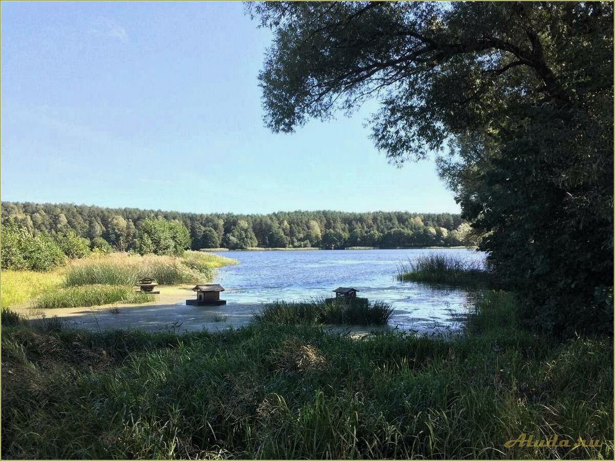 Рязанская область — Касимов — идеальное место для домашнего отдыха на природе