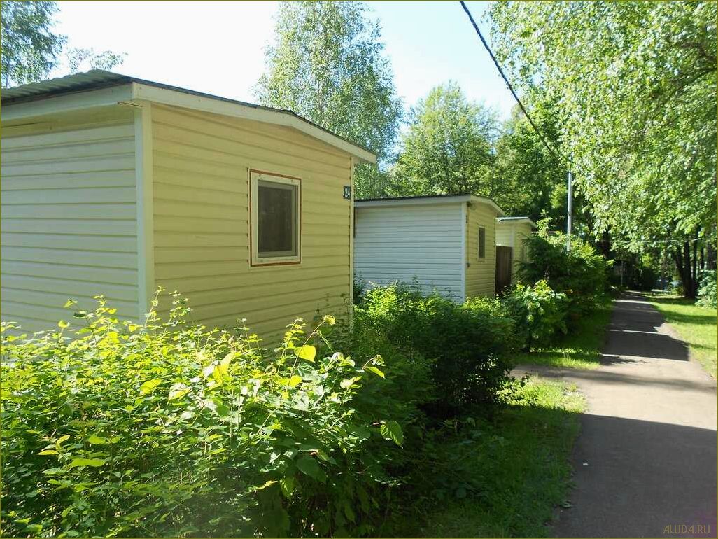 Роскошный отдых в Салют базе отдыха в Московской области — идеальное место для отдыха и развлечений